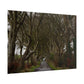 Dark Hedges Poster - Northern Ireland, UK - Wall Art