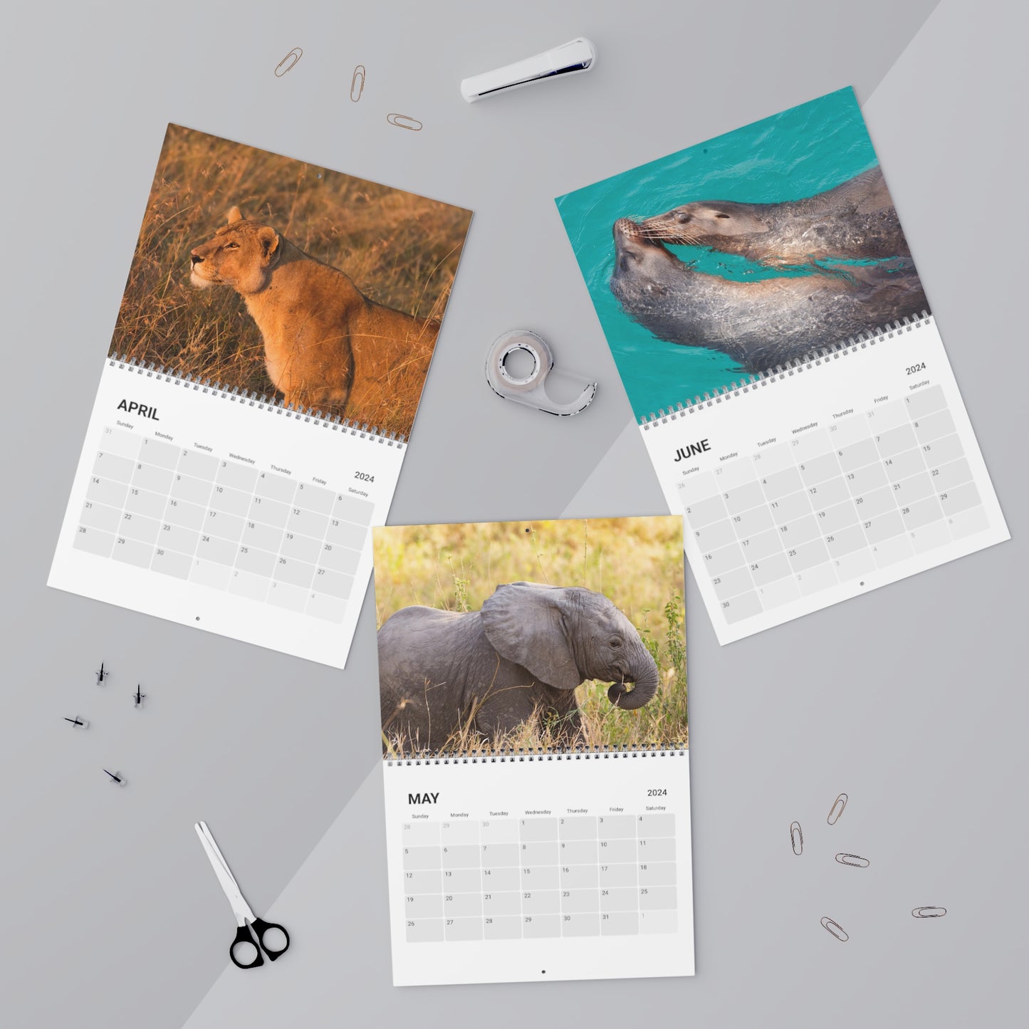 Wildlife Photography Calendar by Leah Ramuglia