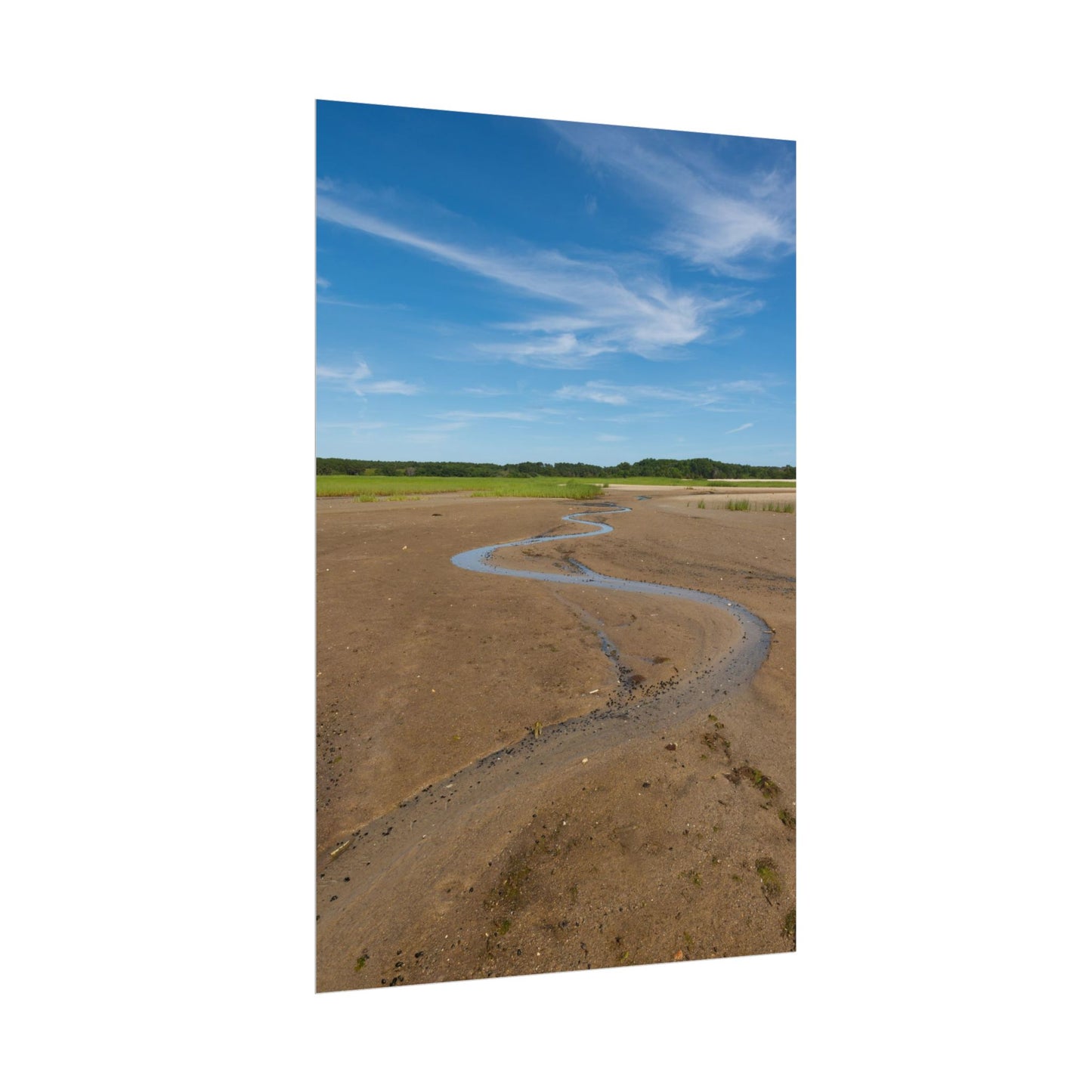 Cape Cod Beach Poster - Wellfleet, MA - National Seashore - Vertical Wall Art