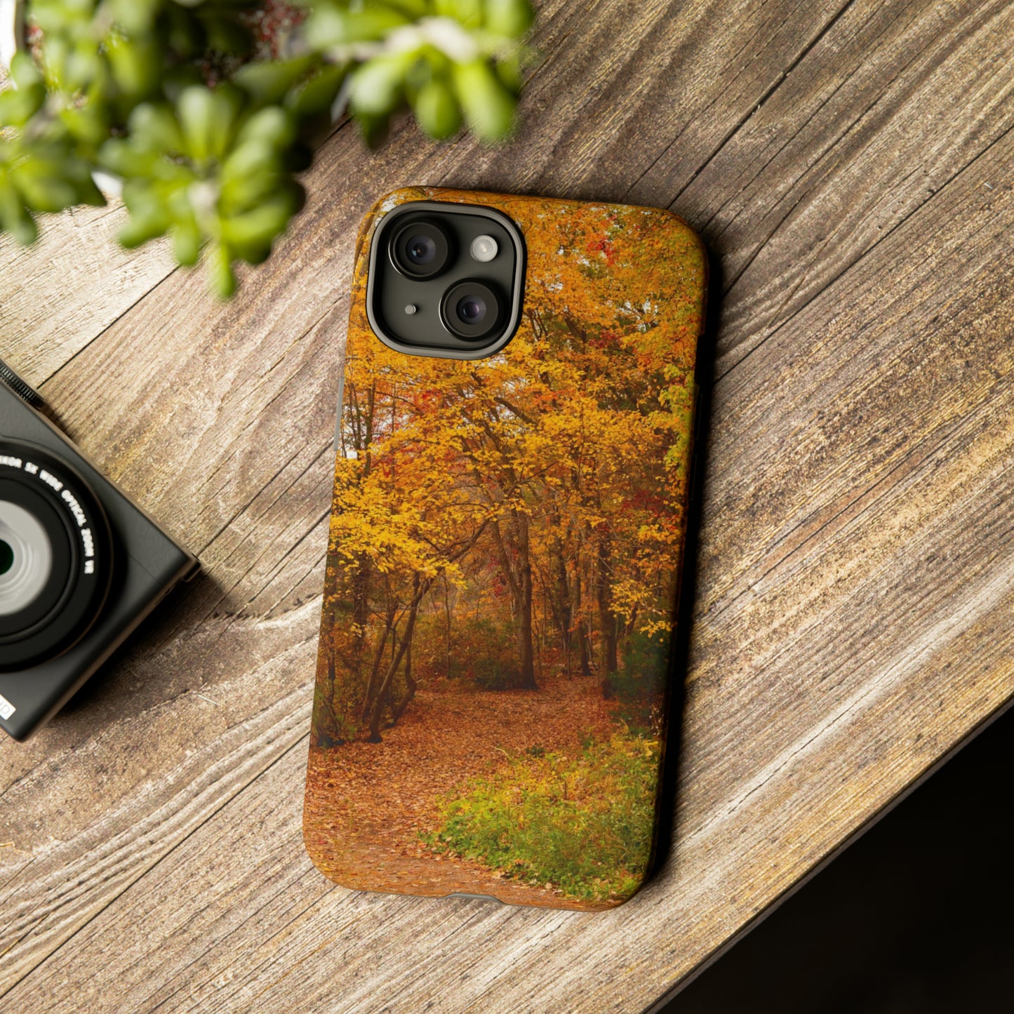 Fall Foliage Phone Case