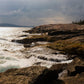 Acadia National Park - Canvas Wall Art - Maine, New England