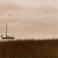 Southern Sail Boat - Printed on Wood