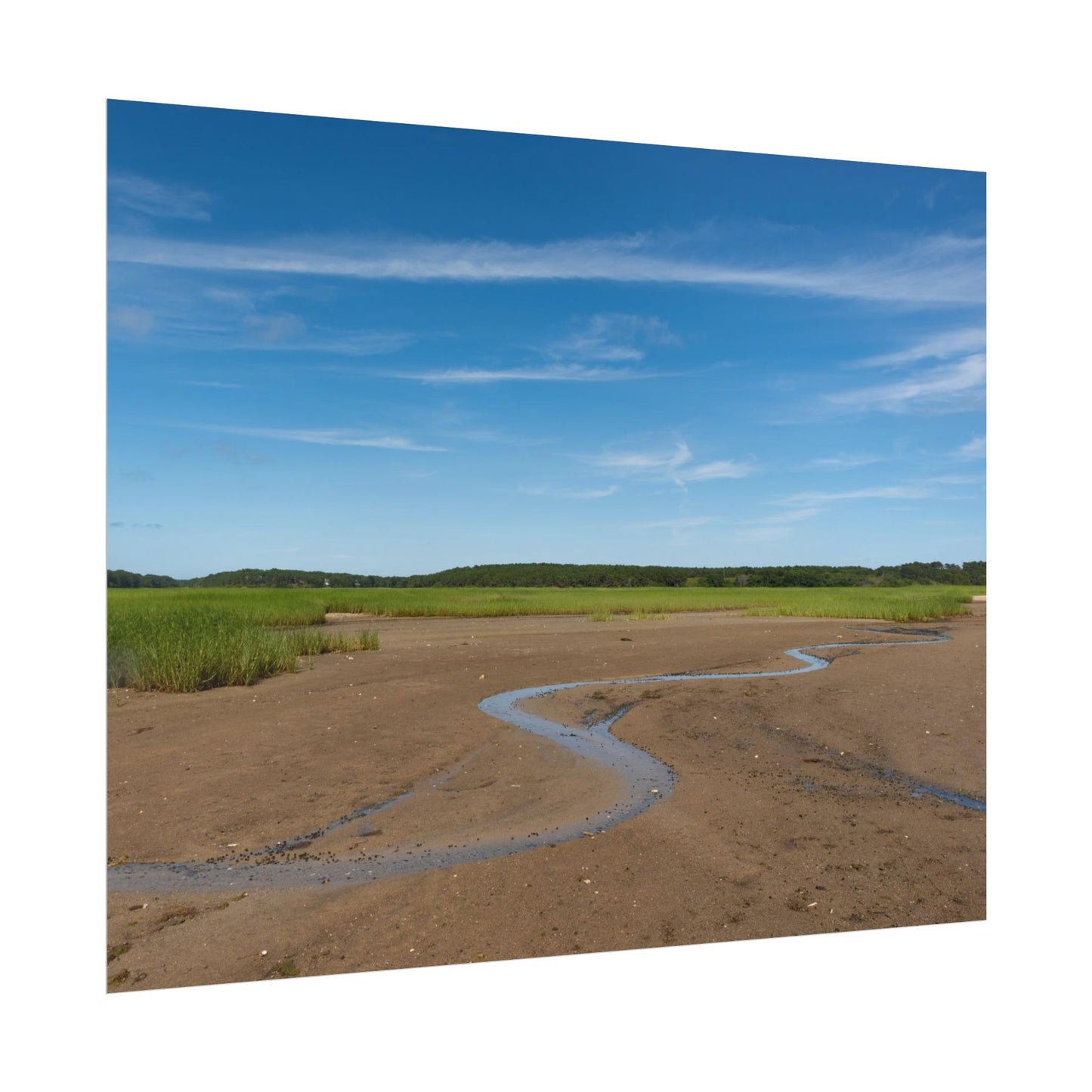 Cape Cod Beach Poster - Wellfleet, MA - National Seashore - Wall Art