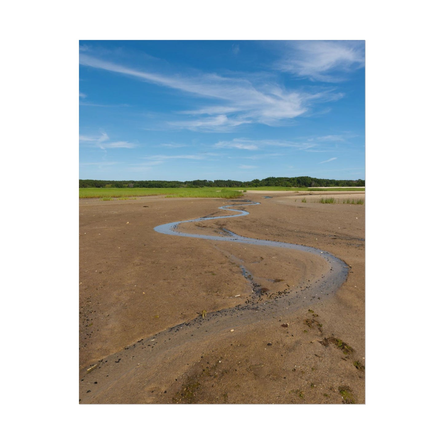 Cape Cod Beach Poster - Wellfleet, MA - National Seashore - Vertical Wall Art