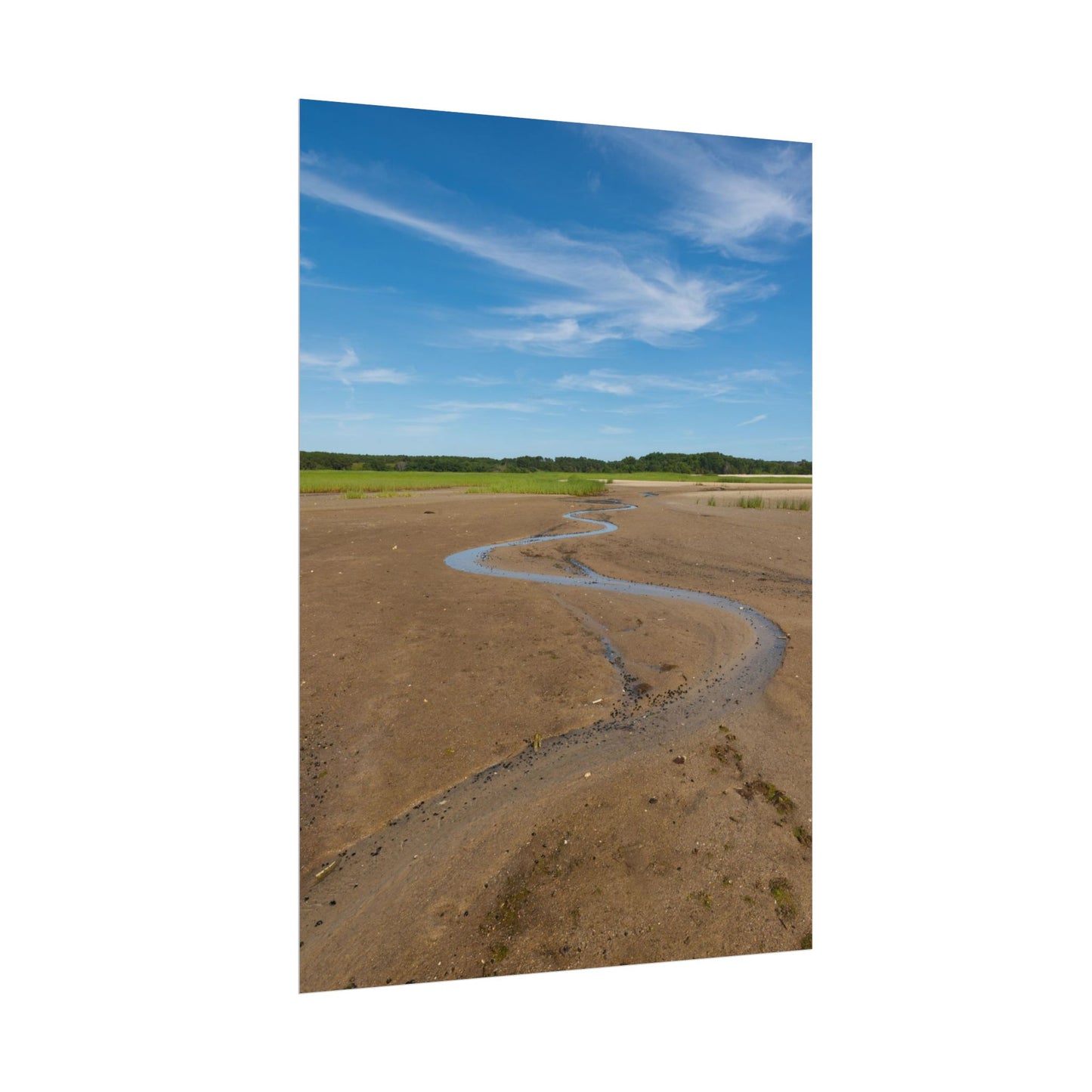 Cape Cod Beach Poster - Wellfleet, MA - National Seashore - Vertical Wall Art