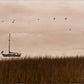 Southern Sail Boat - Printed on Wood