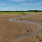 Wellfleet, Cape Cod - Canvas Print