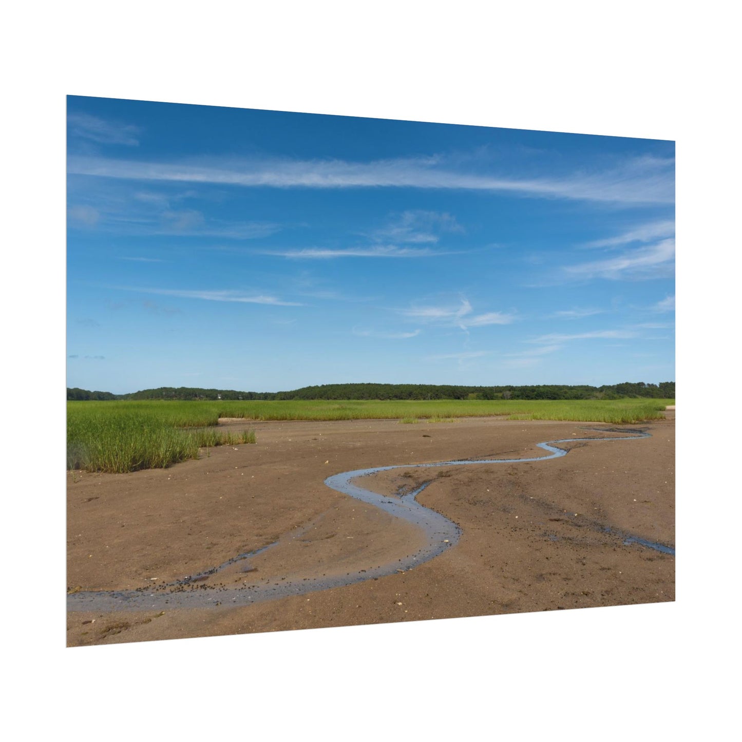 Cape Cod Beach Poster - Wellfleet, MA - National Seashore - Wall Art