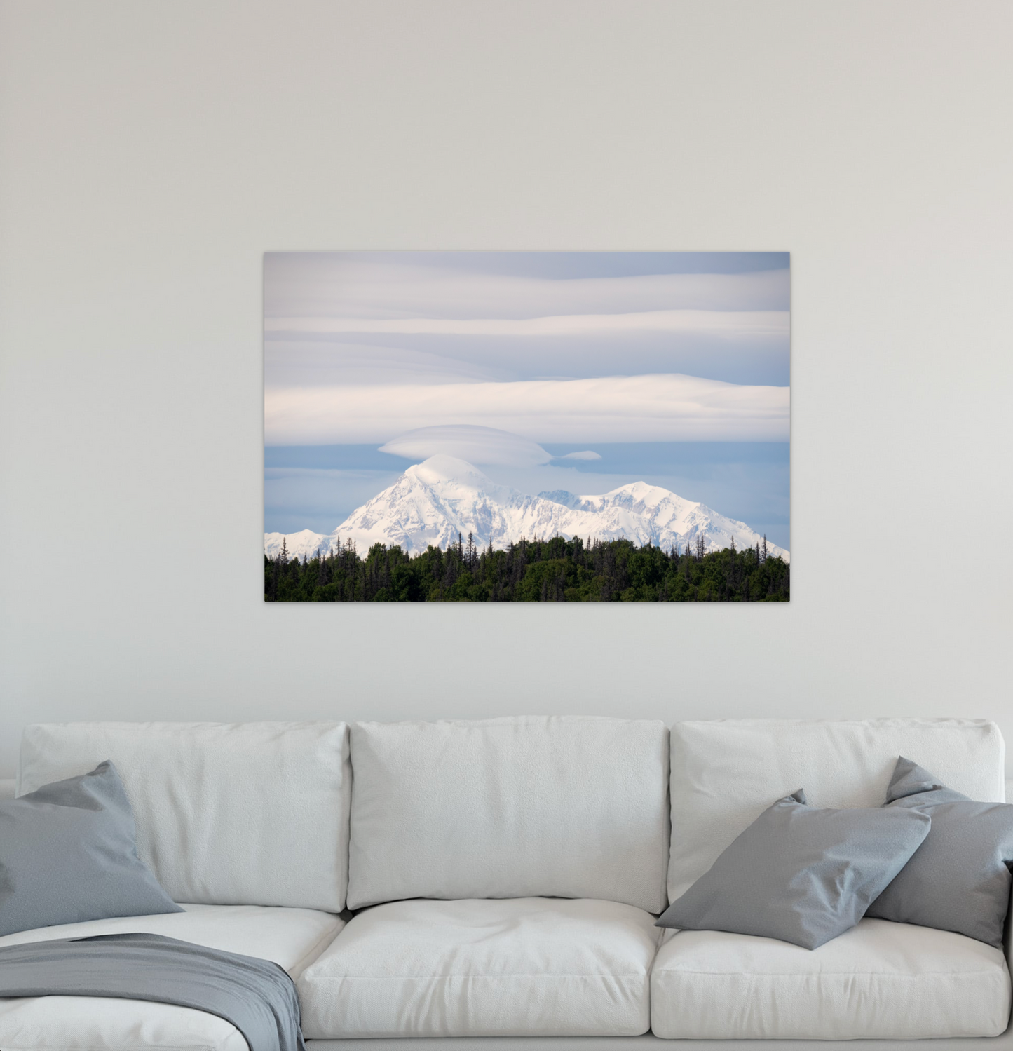 Denali, Alaska - Metal Wall Art - Mountain Photograph