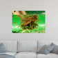 Fish Foot Massage - Wall Art - Photo Printed on Metal