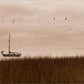 Southern Sail Boat - Printed on Wood