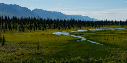 Alaska Metal Wall Art - Scenic Denali National Park