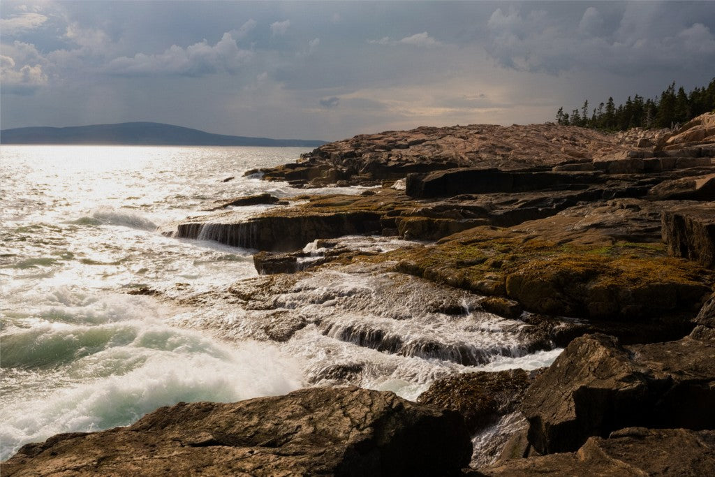 Acadia National Park - Canvas Wall Art - Maine, New England