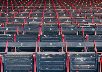 Fenway Park - Photograph Printed on Wood