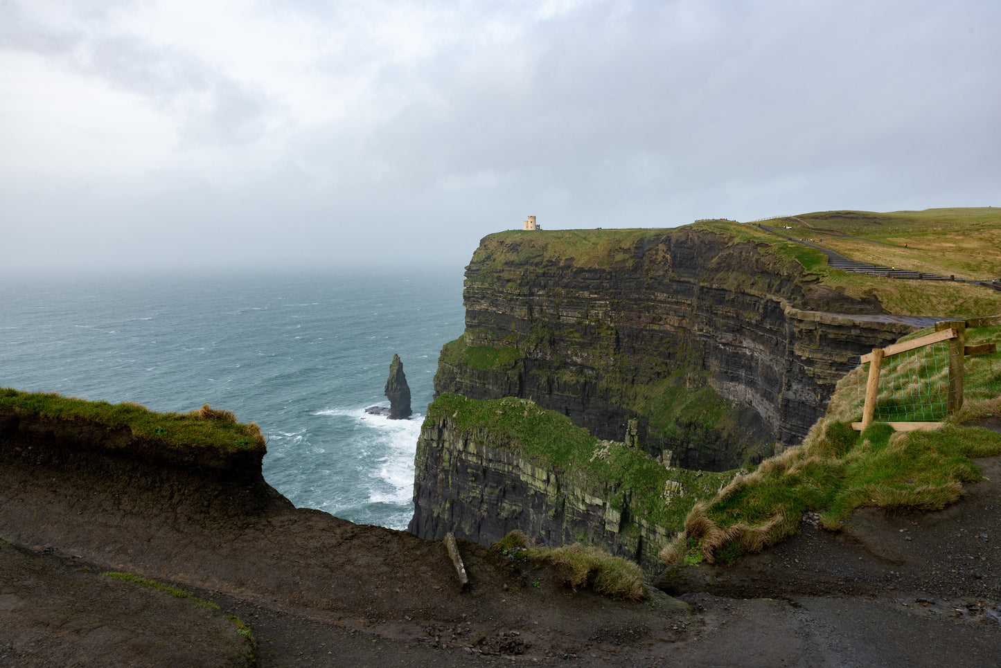 Cliffs of Moher, Ireland - Canvas Print