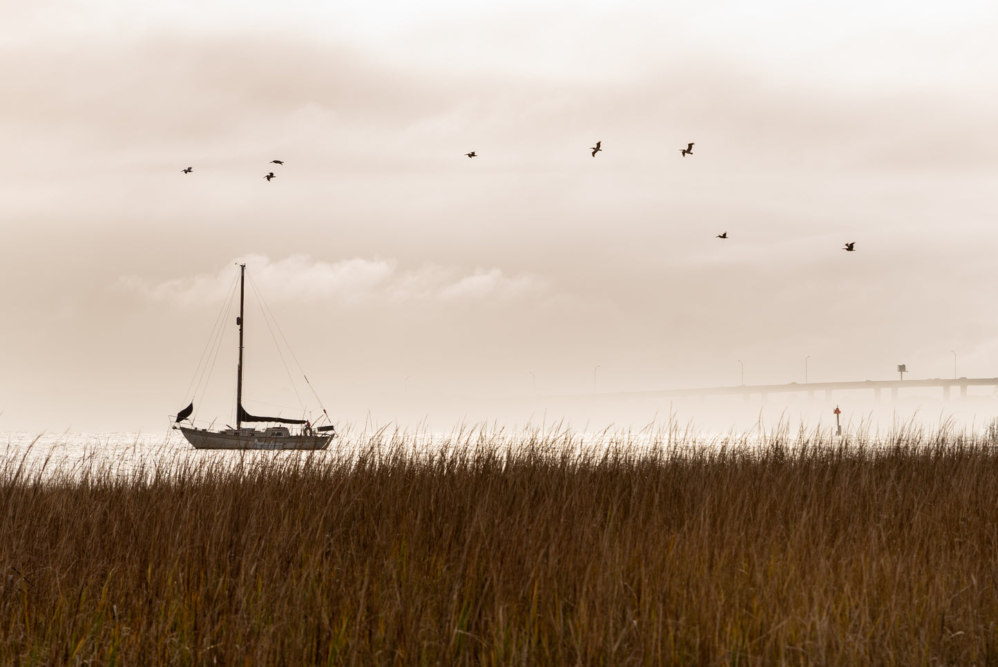 Southern Sail Boat - Printed on Wood