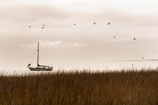 Southern Sail Boat - Printed on Wood