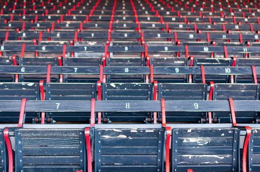 Fenway Park - Photograph Printed on Wood