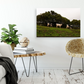 3 Cows Fine Art Photograph Printed on Wood