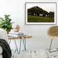 Fine Art Photography 3 Cows Framed Photograph by Leah Ramuglia