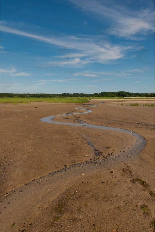 Wellfleet, Cape Cod - Photograph Printed on Wood