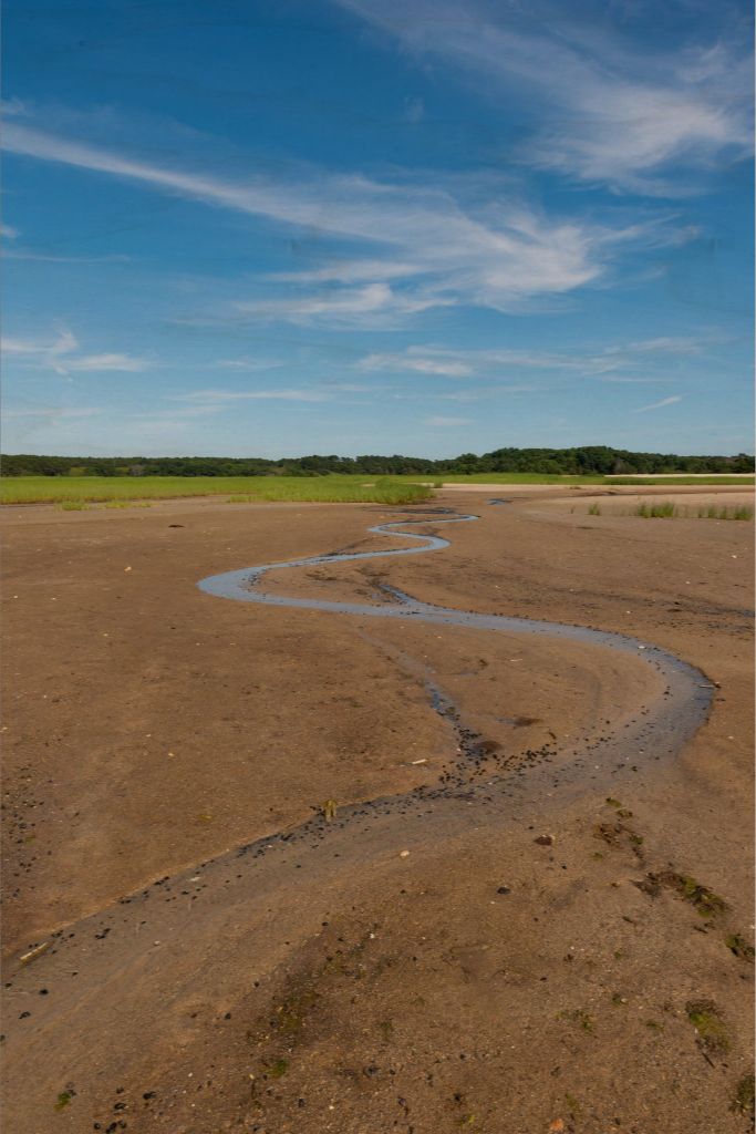 Wellfleet, Cape Cod - Canvas Print